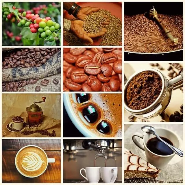 Café de Colombia: su origen, variedad y sabor inigualable
