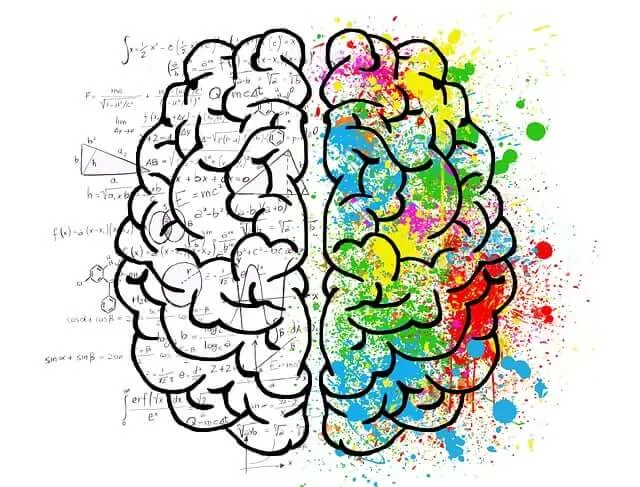 creatividad cerebro dos hemisferios color