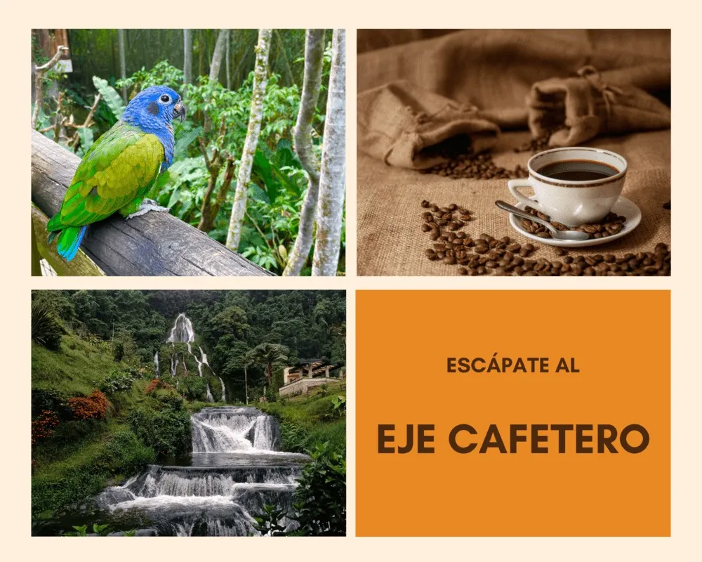 Los mejores lugares para visitar en el Eje Cafetero en 2023