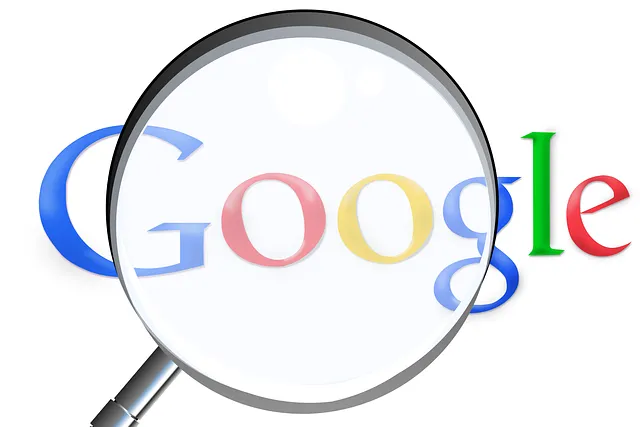 google lupa
