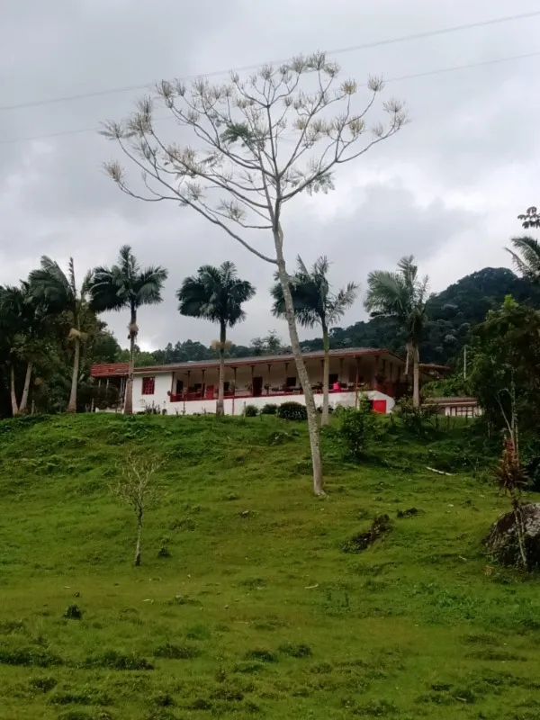 la florida pereira 1